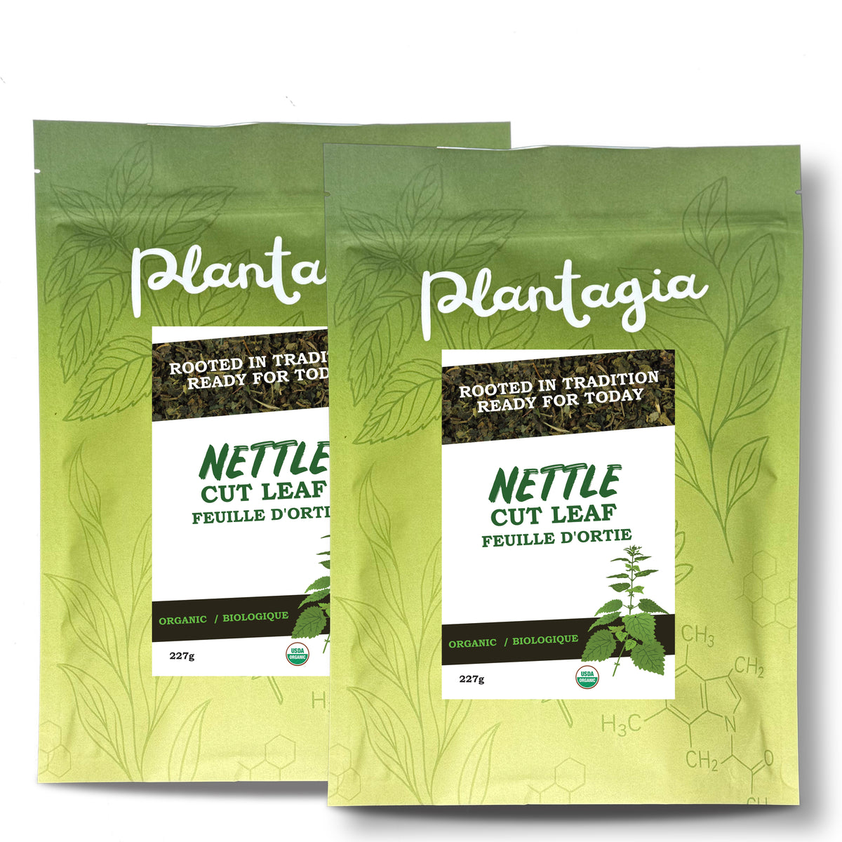 Organic Nettle Leaf ( Urtica Dioica ) Cut, Plantagia
