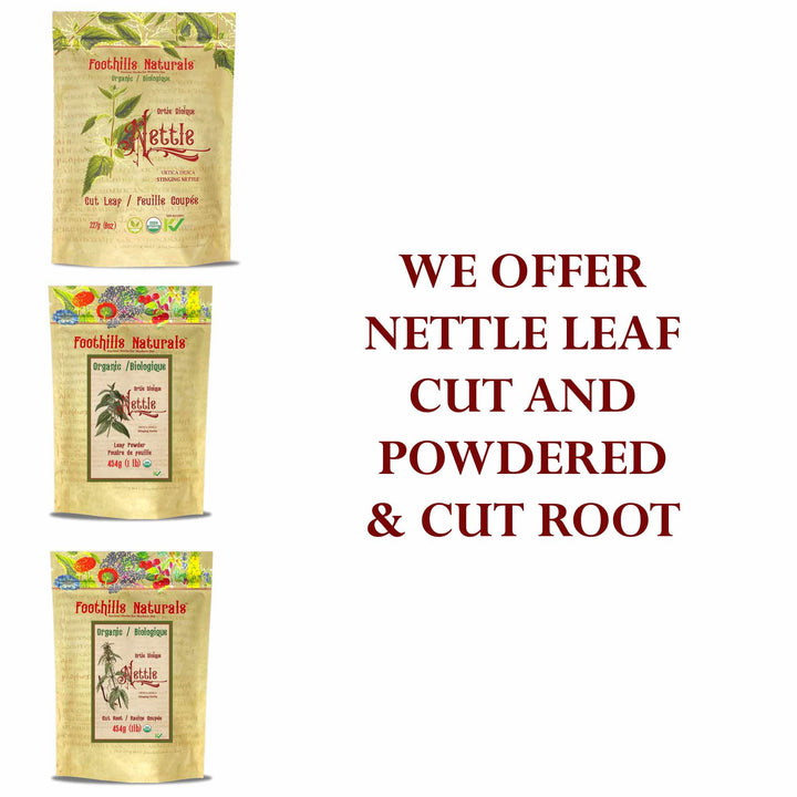 Nettle Root Organic Cut