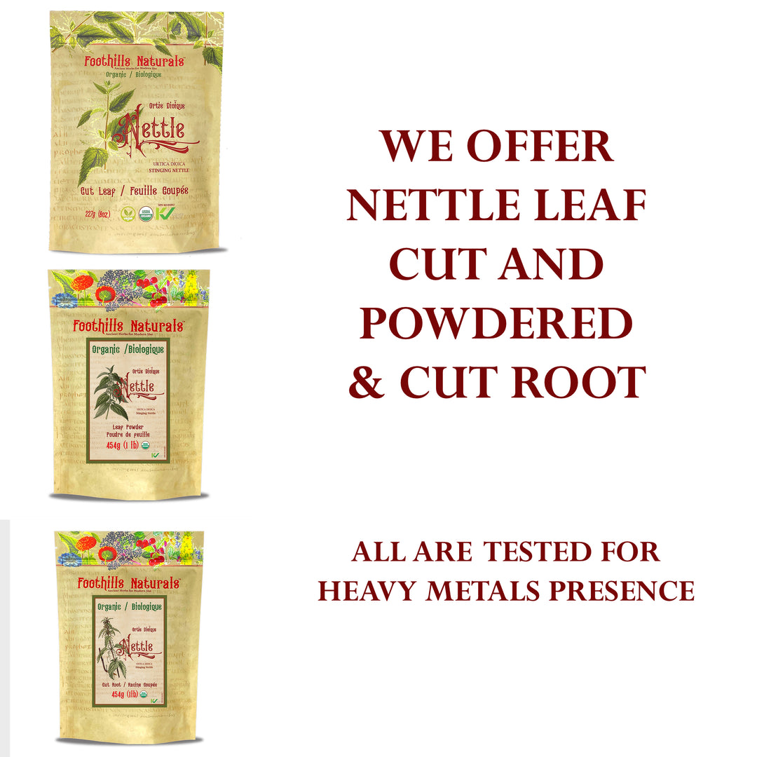 Nettle Leaf Powder Organic