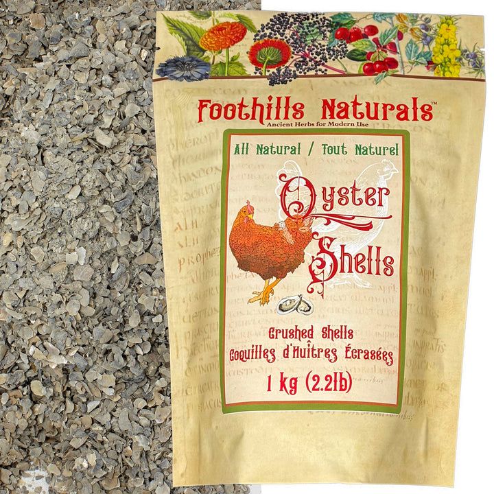 Oyster Shells Crushed - 1 kg (2.2 lb) Natural Source of Calcium, Nothing Added