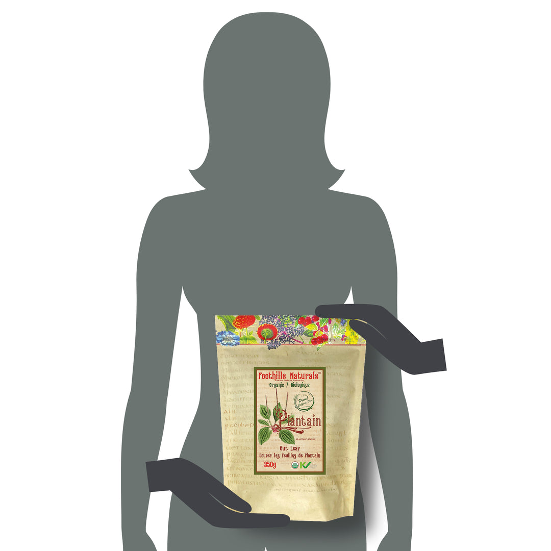 Plantain Leaf, Cut Organic