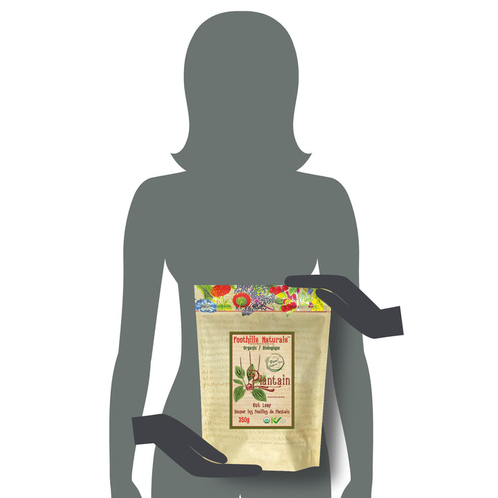 Plantain Leaf, Cut Organic