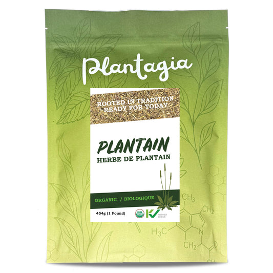 Organic Plantain Herb Cut (Plantago Major)