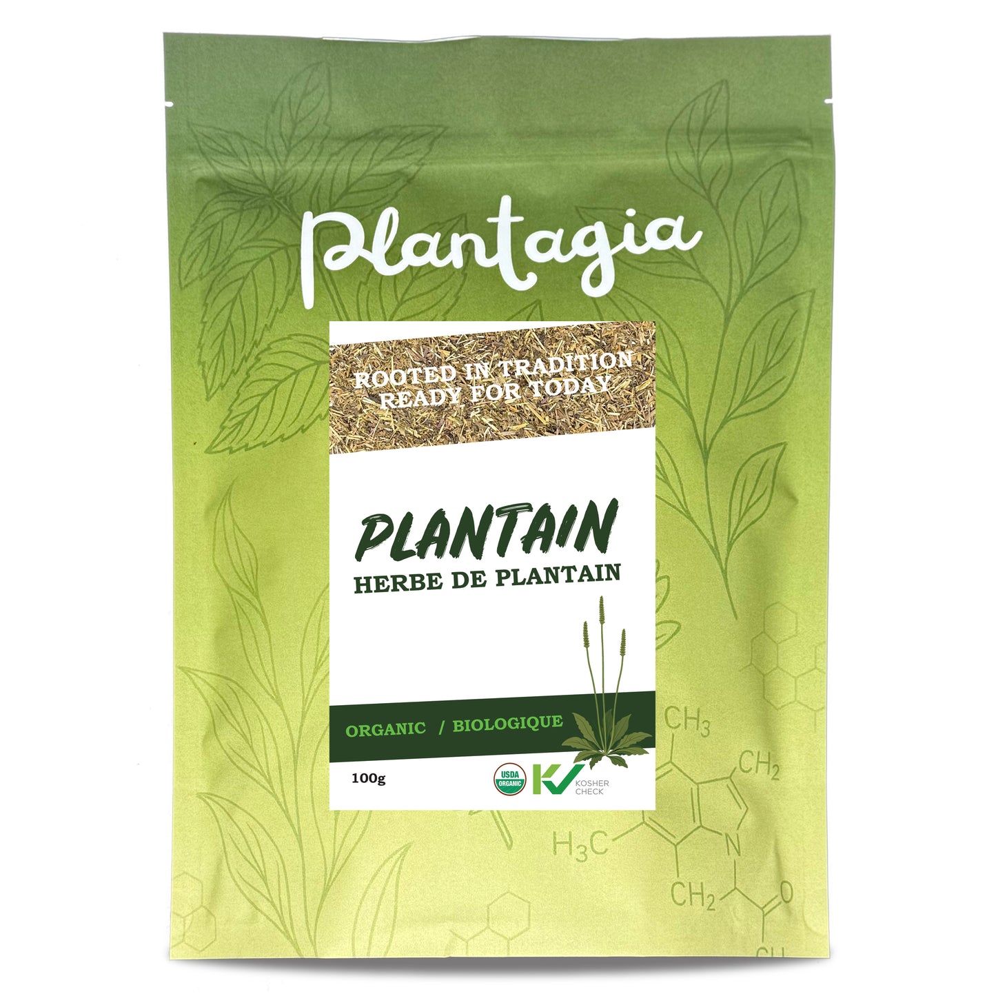 Organic Plantain Herb Cut (Plantago Major)