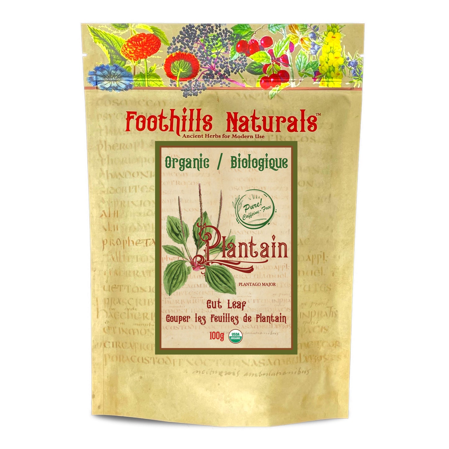 Organic Plantain Leaf Cut (Plantago major) – Dried Herb for Tea & Infusions – Single Ingredient