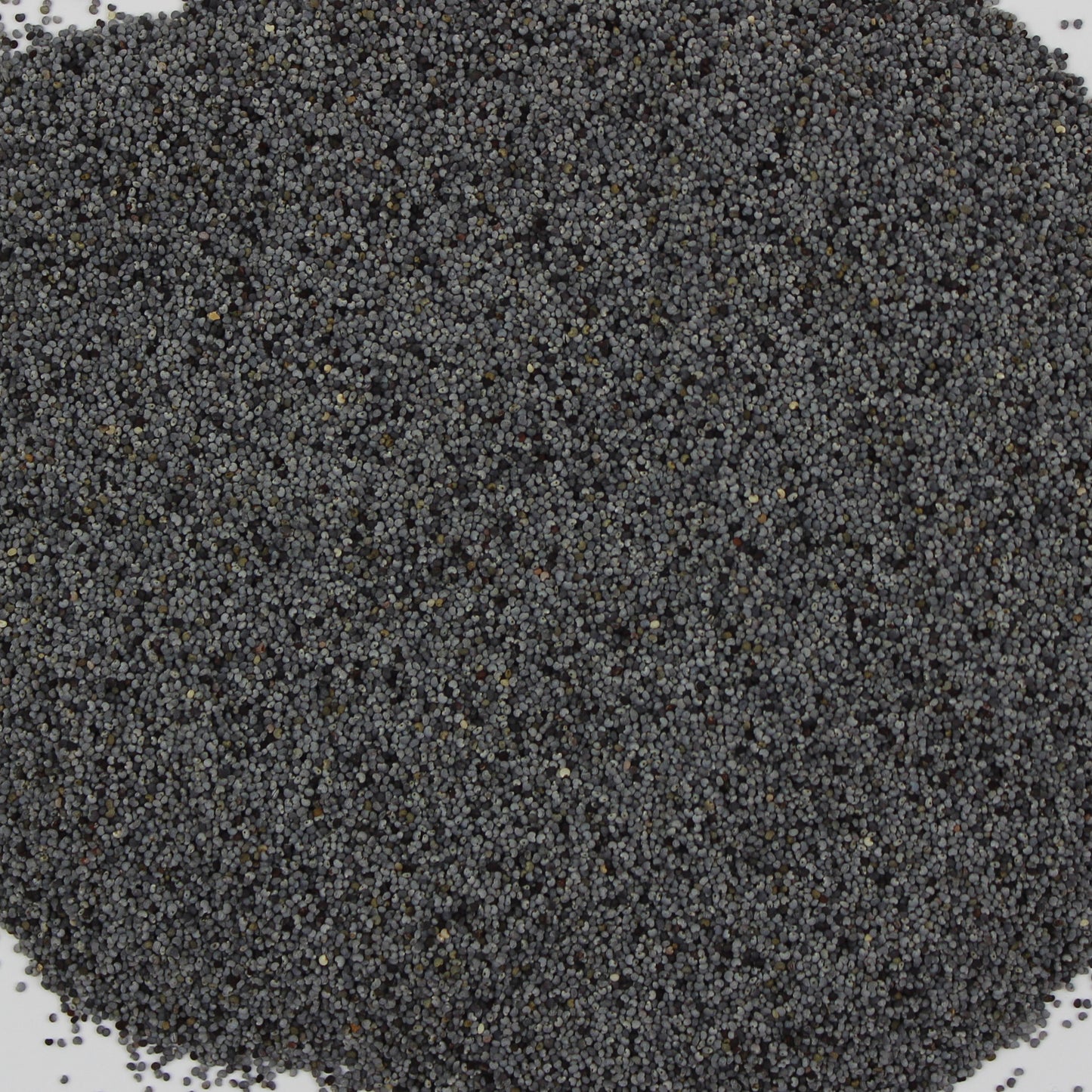 Blue Poppy Seeds Whole (Papaver somniferum) – Conventional – Premium Seeds for Baking & Recipes