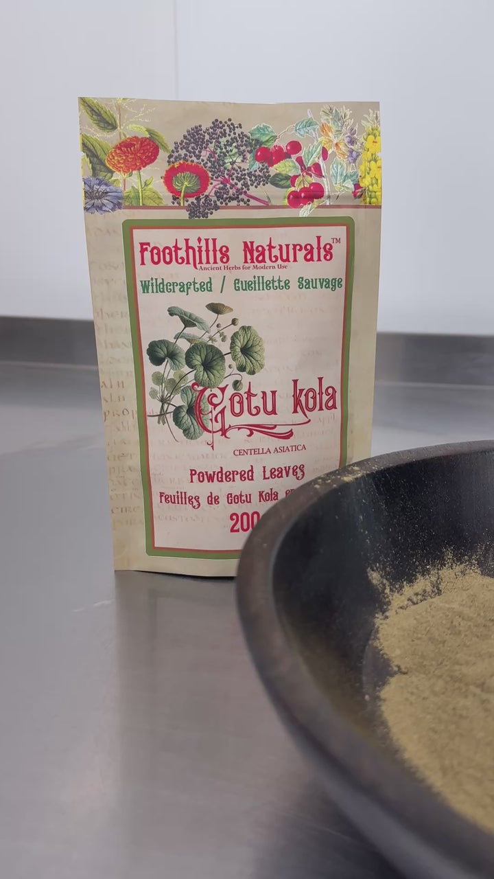 Gotu Kola Powder Leaves, Wildcrafted- Also Referred as Brahmi