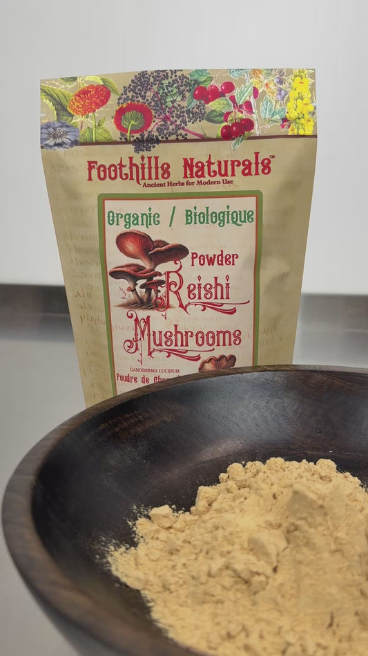 Organic Reishi Mushroom Powder (Ganoderma lucidum) – Finely Ground Mushroom Powder for Beverages & Recipes