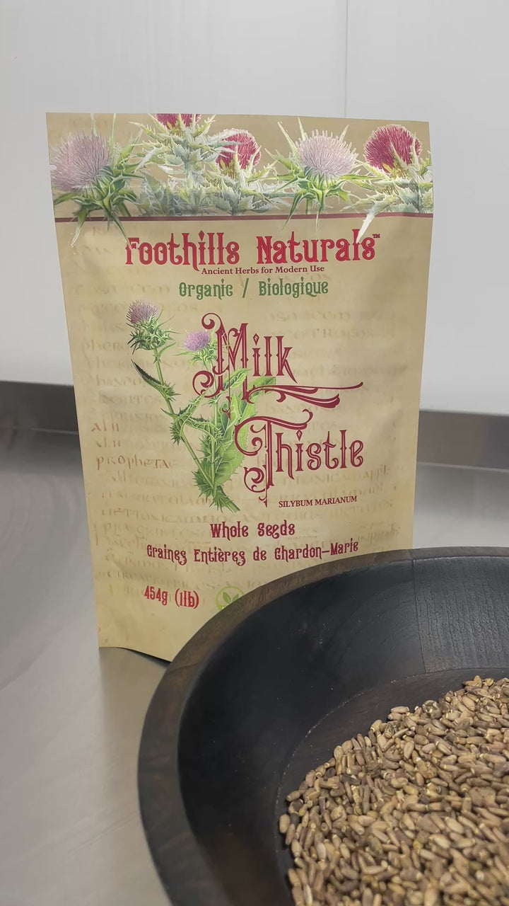 Milk Thistle Whole Seed Organic