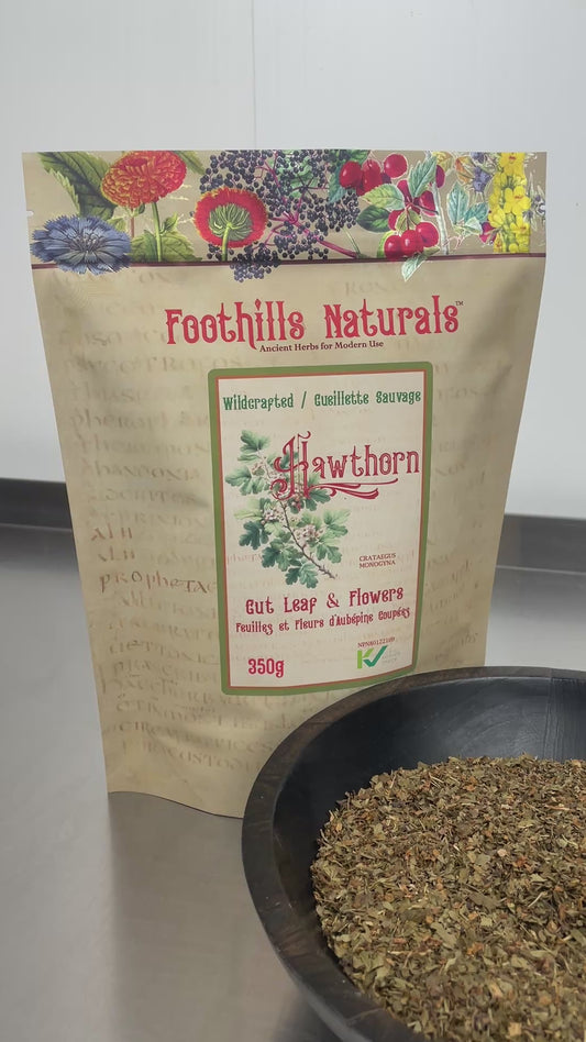 Hawthorn Leaf & Flower (Crataegus monogyna) – Wildcrafted – Dried Herb for Tea & Infusions