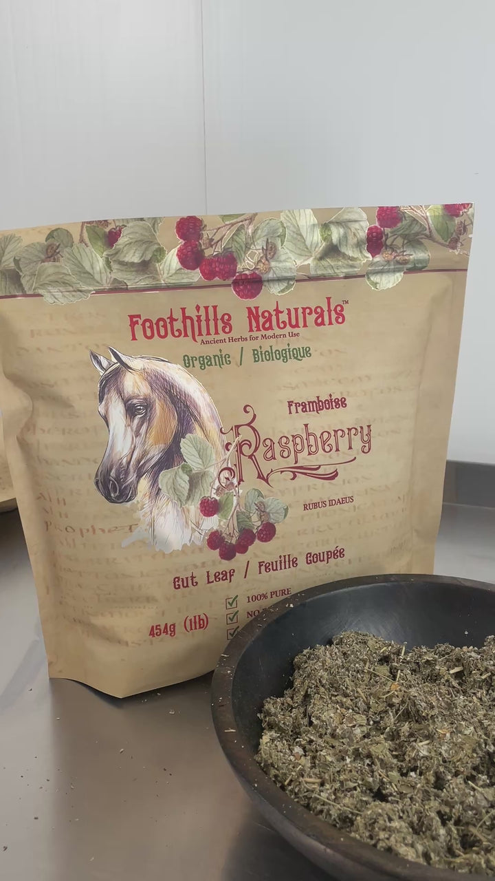Raspberry Leaf Organic Cut and Sifted - 1 Pound (454g) Equine Herb for Mares, Geldings, Stallions. Nutritional, Moodiness Control