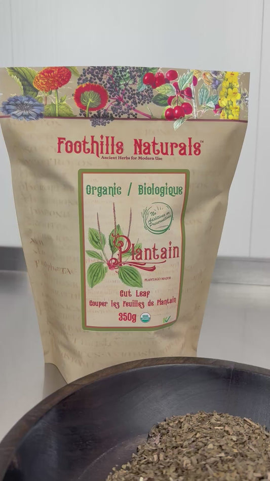 Organic Plantain Leaf Cut (Plantago major) – Dried Herb for Tea & Infusions – Single Ingredient