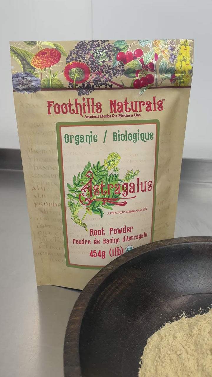 Astragalus Root Organic - Powder