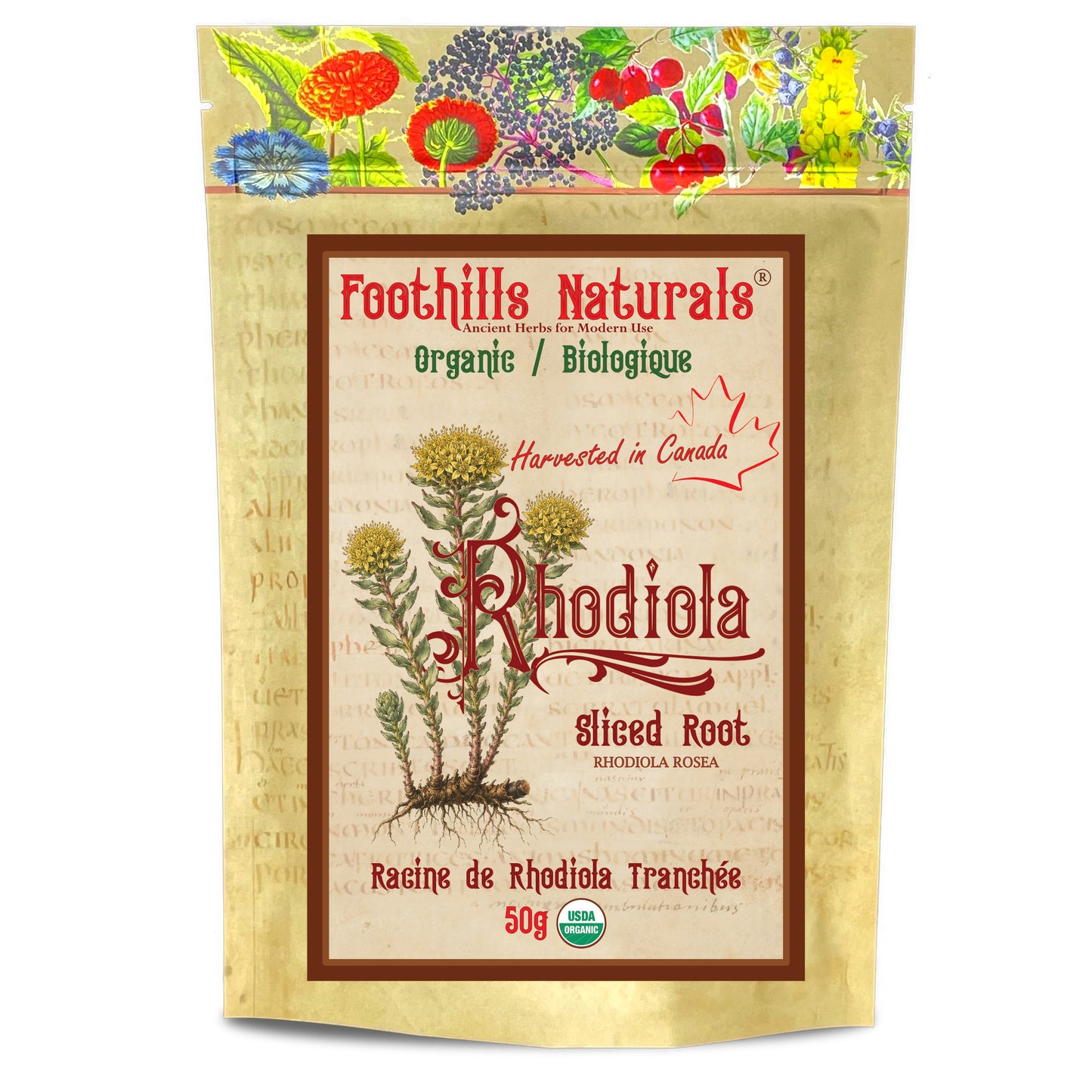 Organic Rhodiola Root – Sliced (Rhodiola rosea)