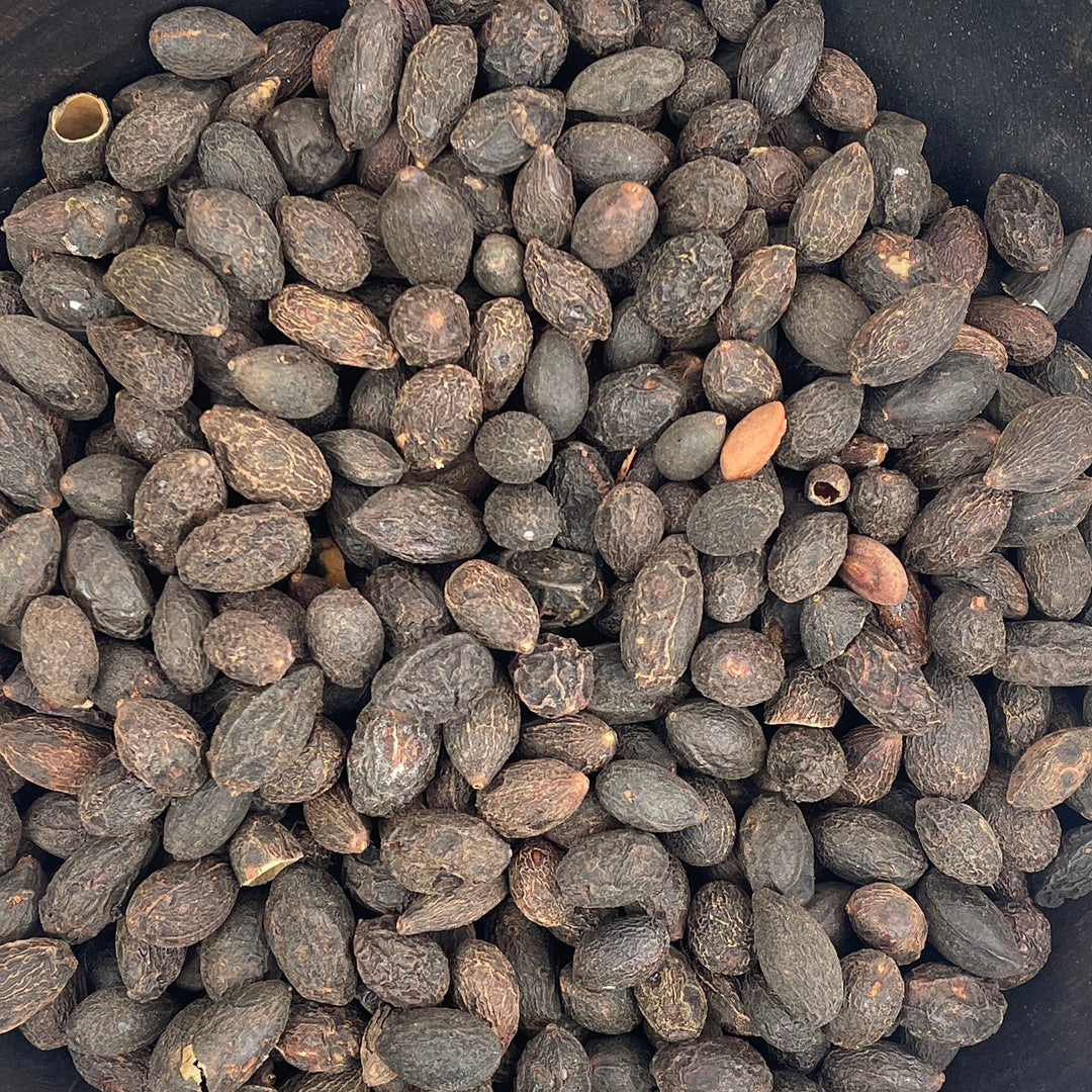 Saw Palmetto Berry - Whole Berries