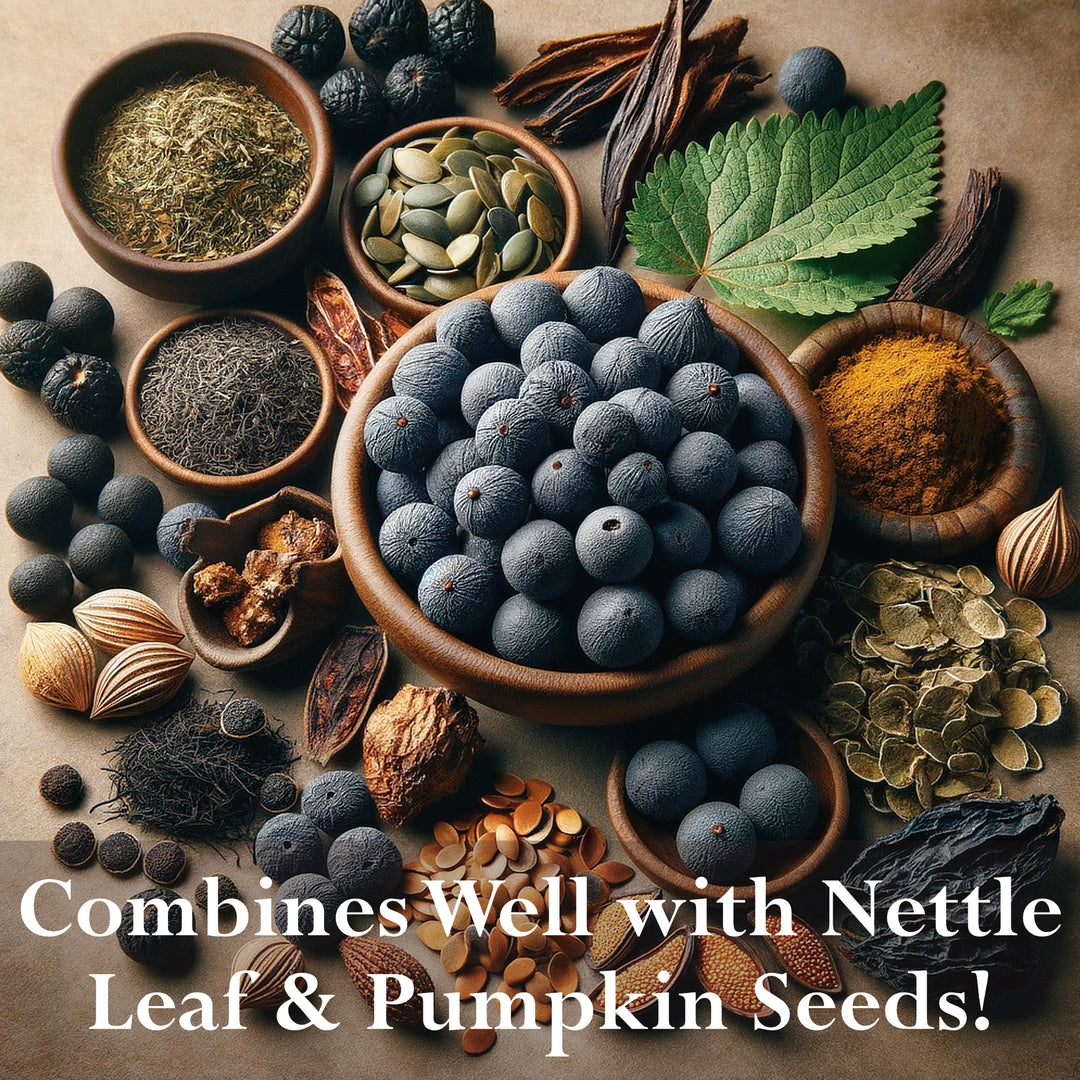 Saw Palmetto Berry - Whole Berries