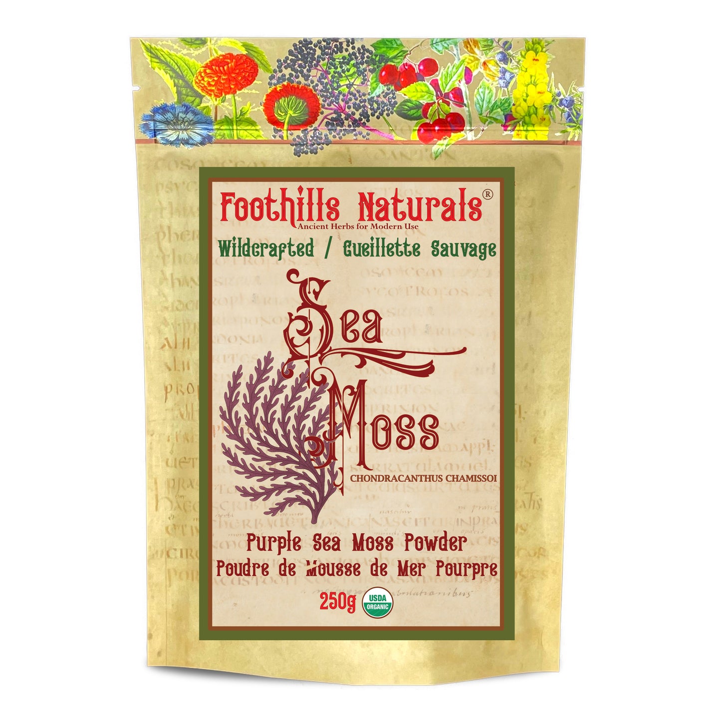 Purple Sea Moss Powder Peruvian Puire (Chondracanthus chamissoi) – Wildcrafted