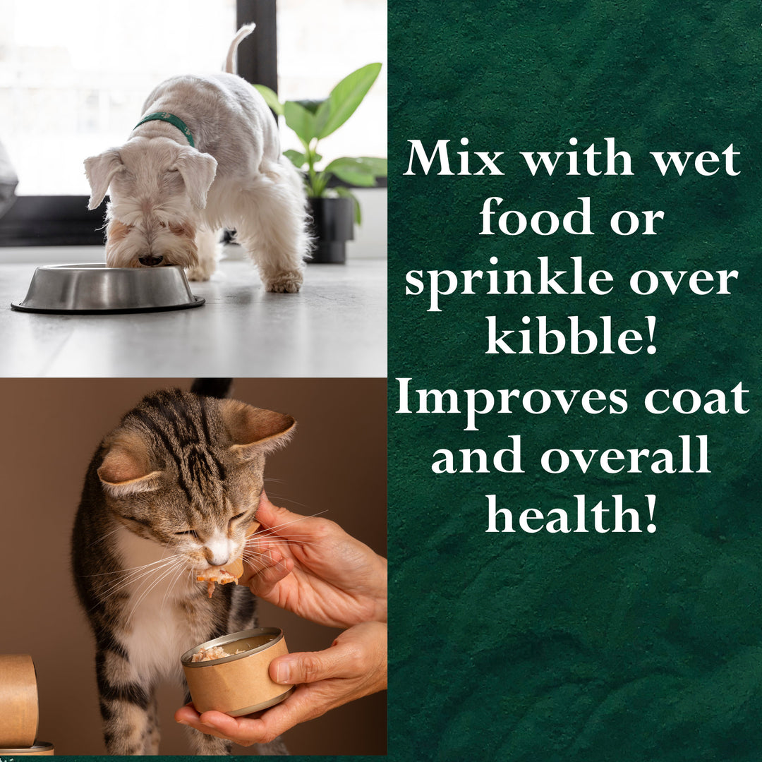 Spirulina Powder for Cats, Dogs, Horses, Poultry, Livestock and Fish