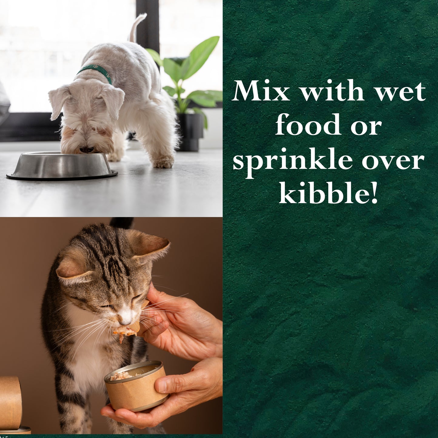 Wildcrafted Spirulina Powder for Cats, Dogs, Horses, Poultry, Livestock and Fish (ARTHROSPIRA PLATENSIS)