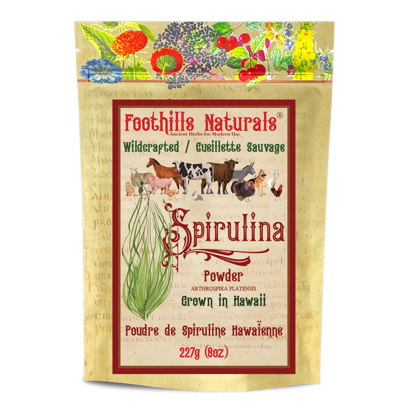 Wildcrafted Spirulina Powder for Cats, Dogs, Horses, Poultry, Livestock and Fish (ARTHROSPIRA PLATENSIS)