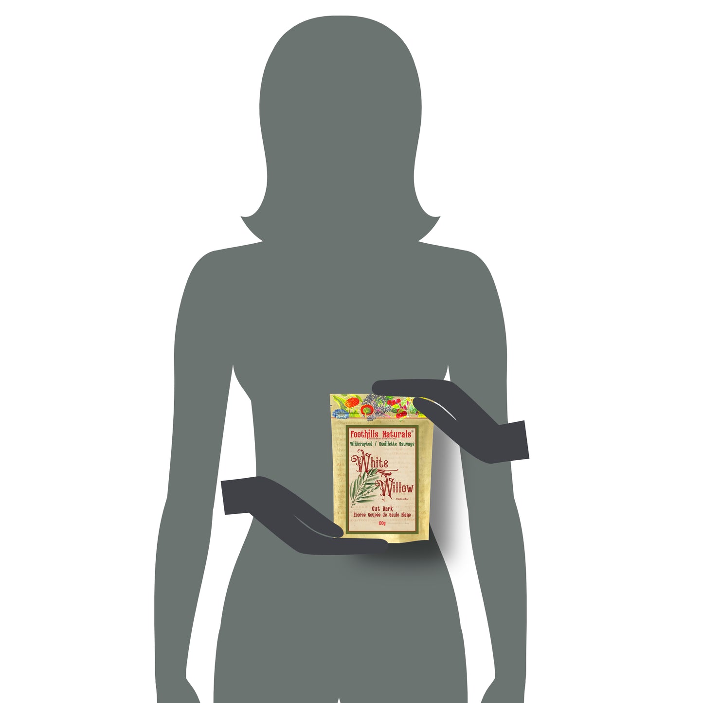 White Willow Bark Cut (Salix alba) – Wildcrafted – Dried Bark for Tea & Decoction