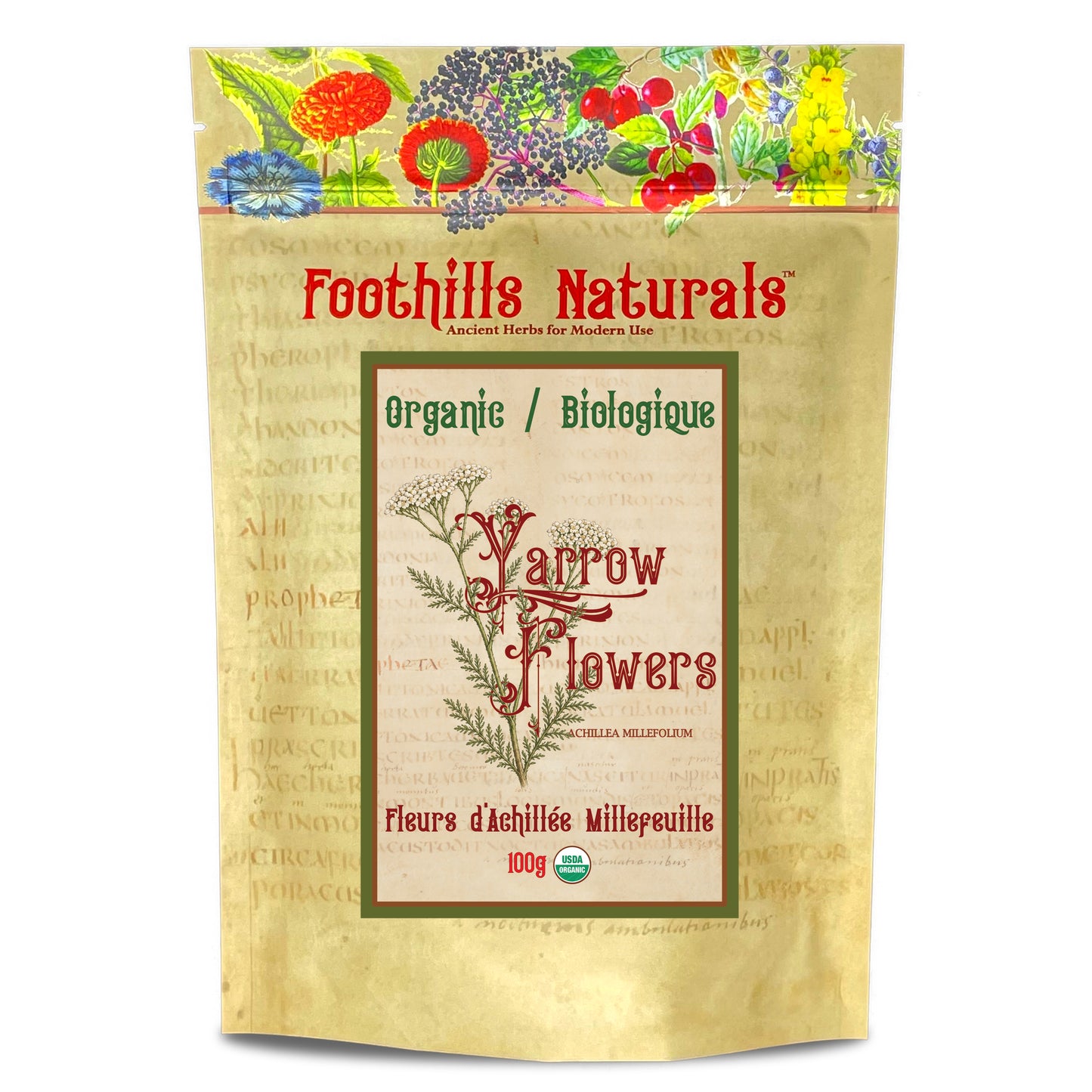 Organic Yarrow Flowers (Achillea millefolium) –  Dried Flowers for Tea & Herbal Infusions