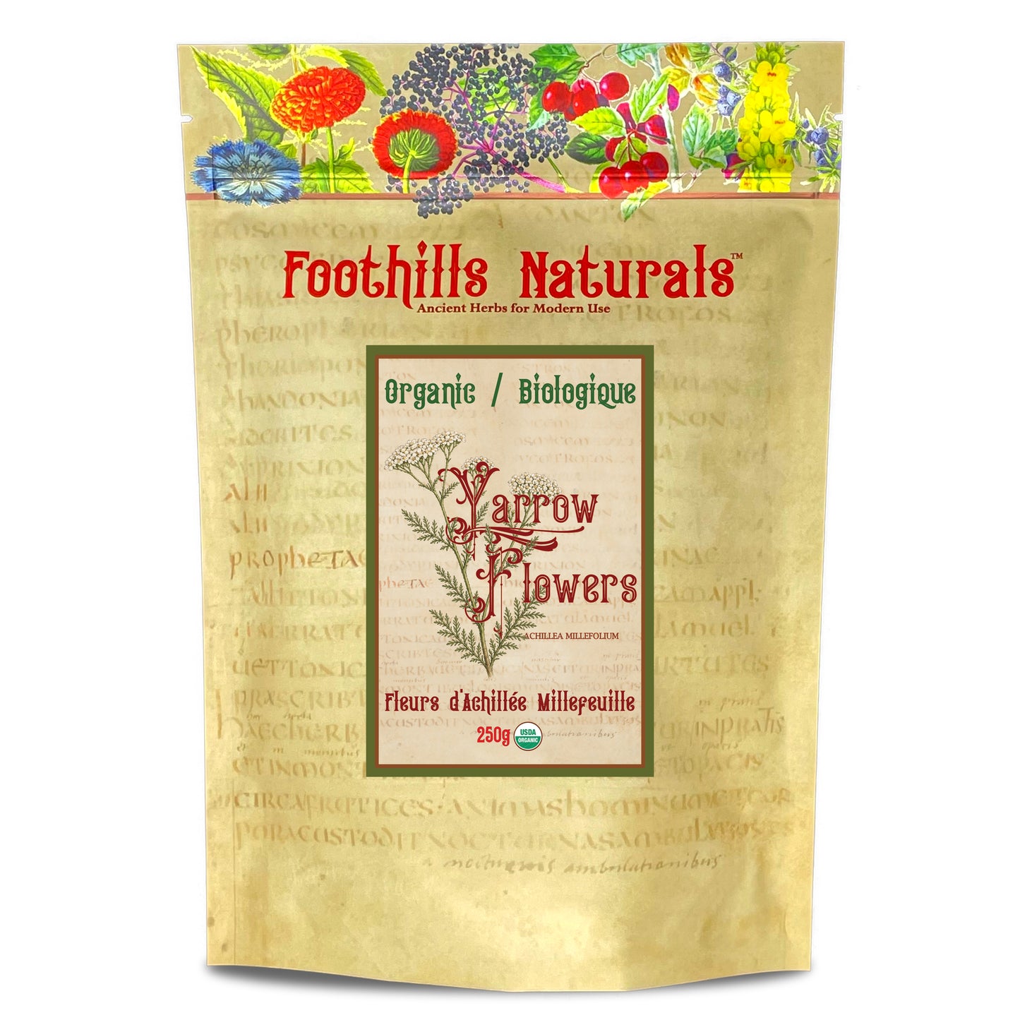 Organic Yarrow Flowers (Achillea millefolium) –  Dried Flowers for Tea & Herbal Infusions