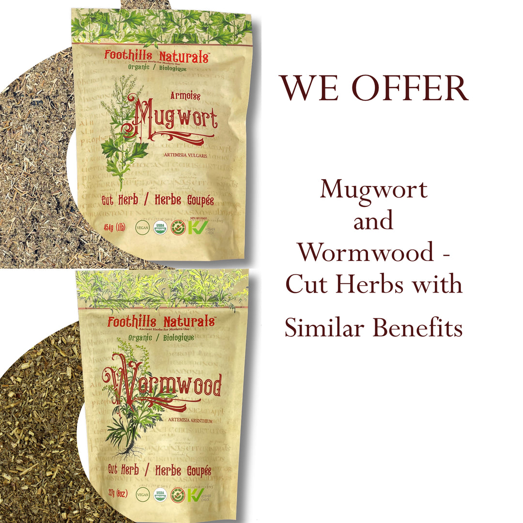 Mugwort Herb Cut Organic