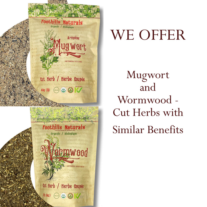 Mugwort Herb Cut Organic