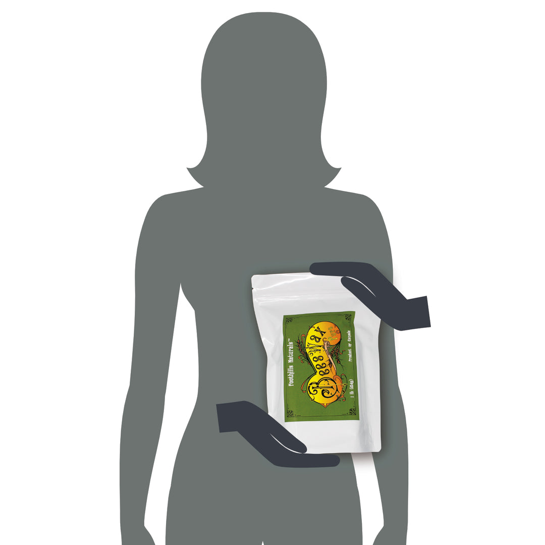 Beeswax Pure Canadian - 1 lb (454g) Cosmetics Grade, No Additives | Foothills Naturals Canada | Ancient Herbs for Modern Use