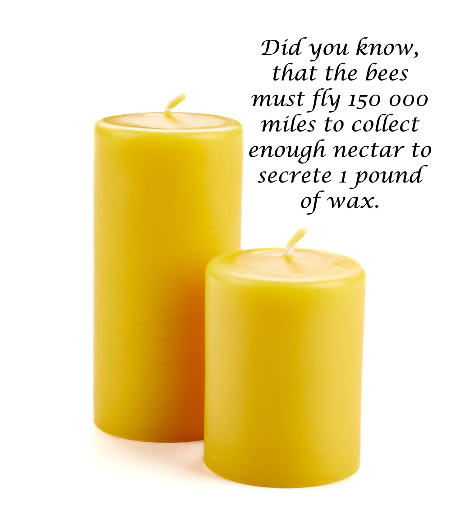 Beeswax Pure Canadian - 1 lb (454g) Cosmetics Grade, No Additives | Foothills Naturals Canada | Ancient Herbs for Modern Use