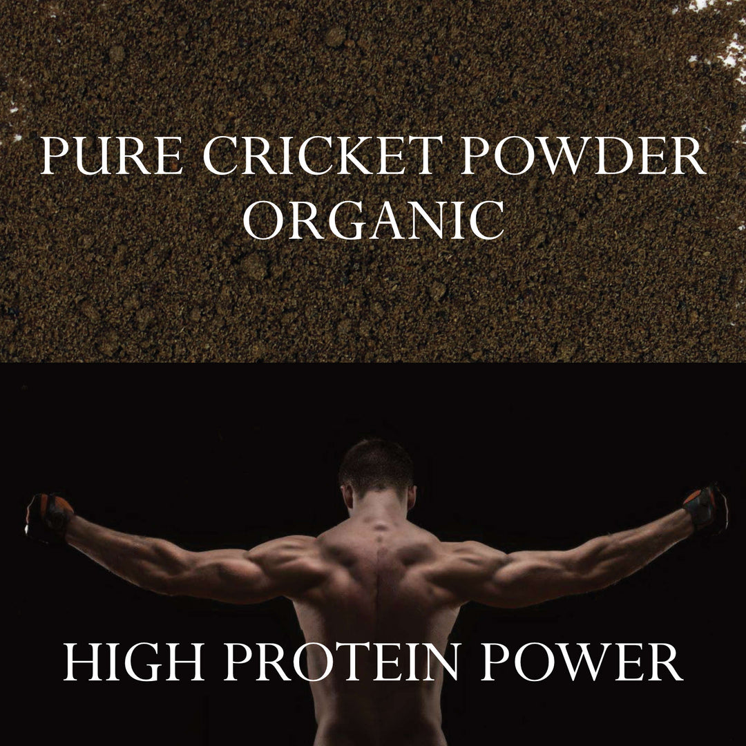 Organic High Protein Cricket Powder - 1 Pound /454g - Pure, Keto, Paleo Sustainable Superfood | Foothills Naturals Canada | Ancient Herbs for Modern Use
