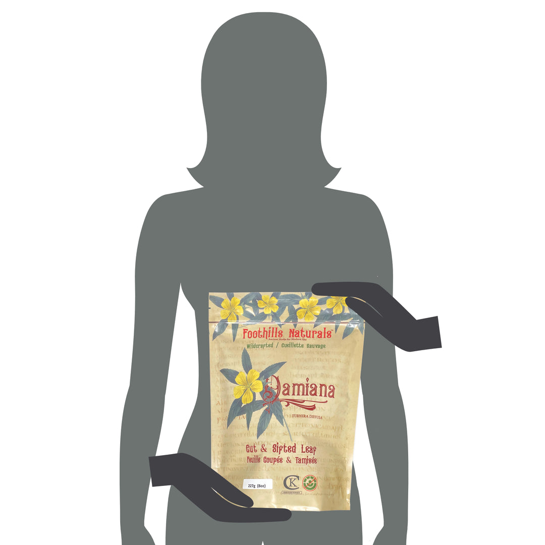 Damiana Leaf Tea - Wildcrafted, Mexican. | Foothills Naturals Canada | Ancient Herbs for Modern Use