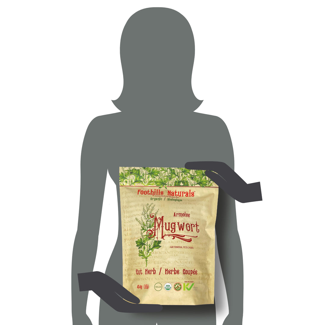 Mugwort Herb Cut Organic