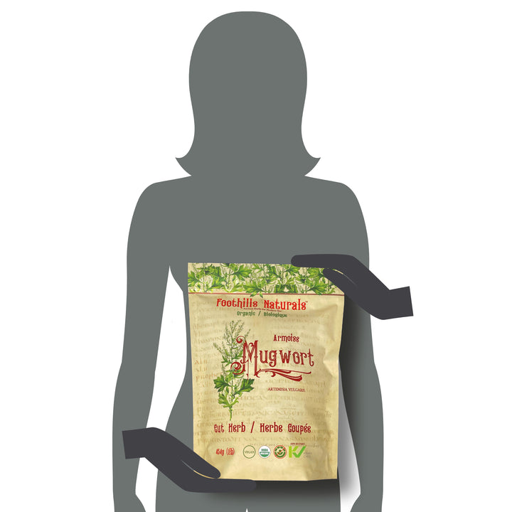 Mugwort Herb Cut Organic