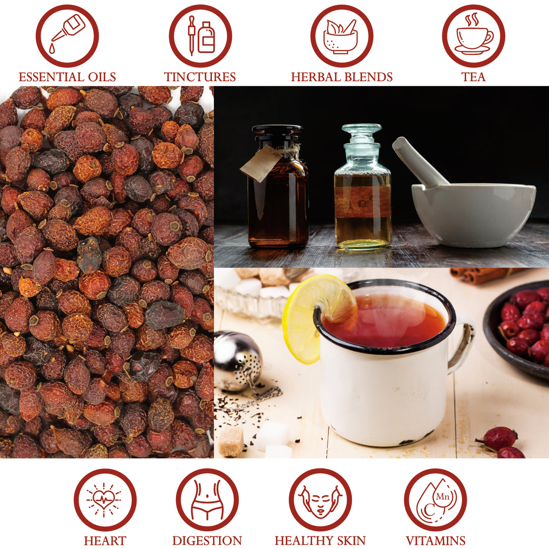 Rosehips Organic Whole Dried - 1 Pound (454 Grams) Gourmet Cooking, Brewing Recipes | Foothills Naturals Canada | Ancient Herbs for Modern Use