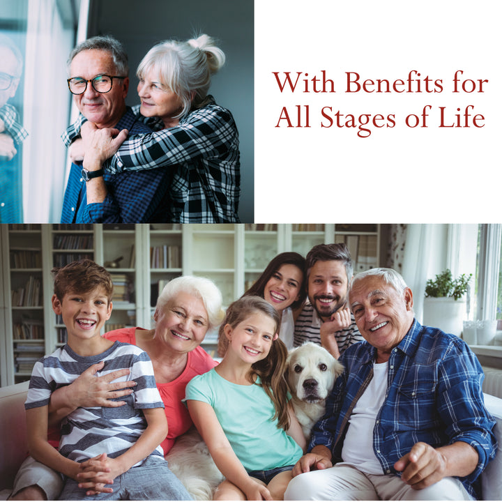 Triphala Powder Organic - 1 Pound / 454g Raw Food Diet Suitable | Foothills Naturals Canada | Ancient Herbs for Modern Use